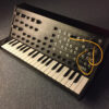 KORG MS-20 MIDI Controller mit Patchkabel