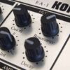 KORG Electribe EA1 BAss Synth Analog Modeling Synthesizer